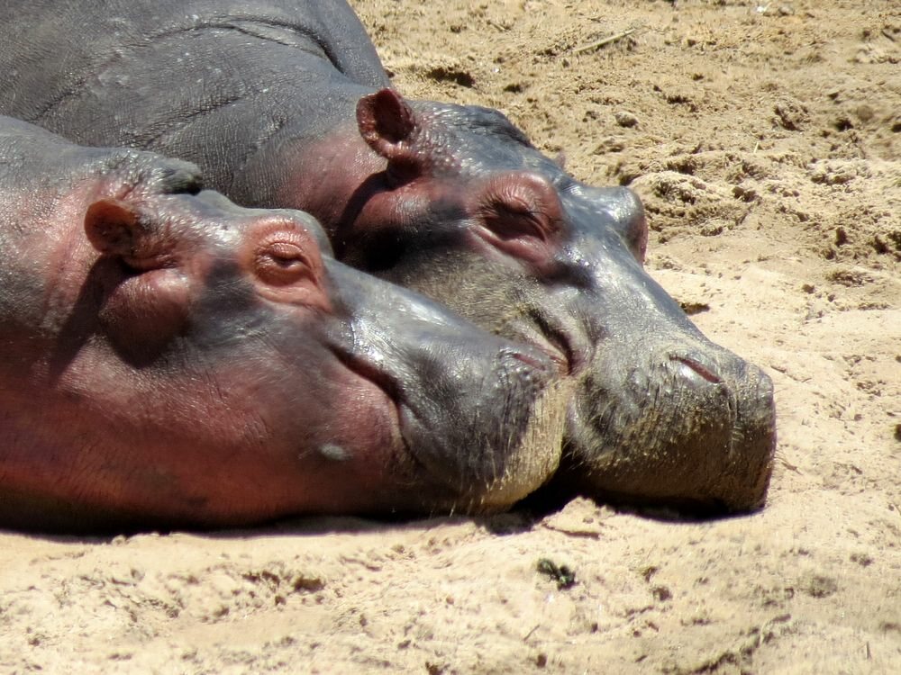 Click to See Next Image