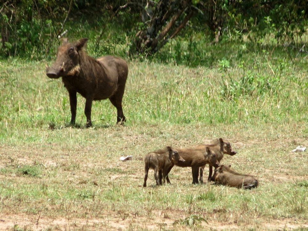 Click to See Next Image