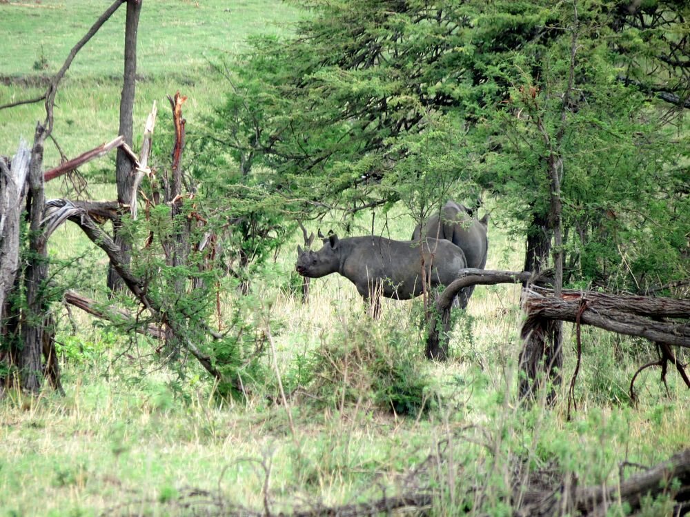 Click to See Next Image