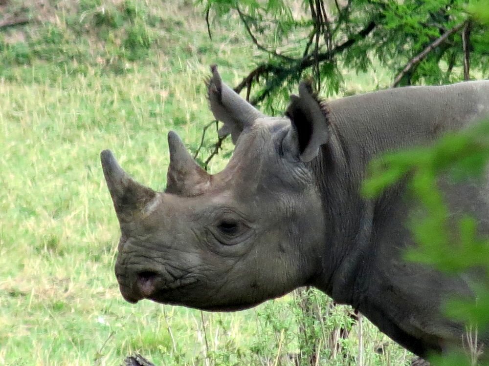 Click to See Next Image