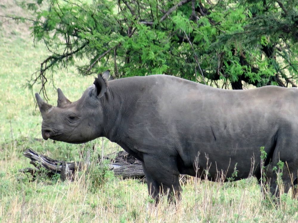 Click to See Next Image