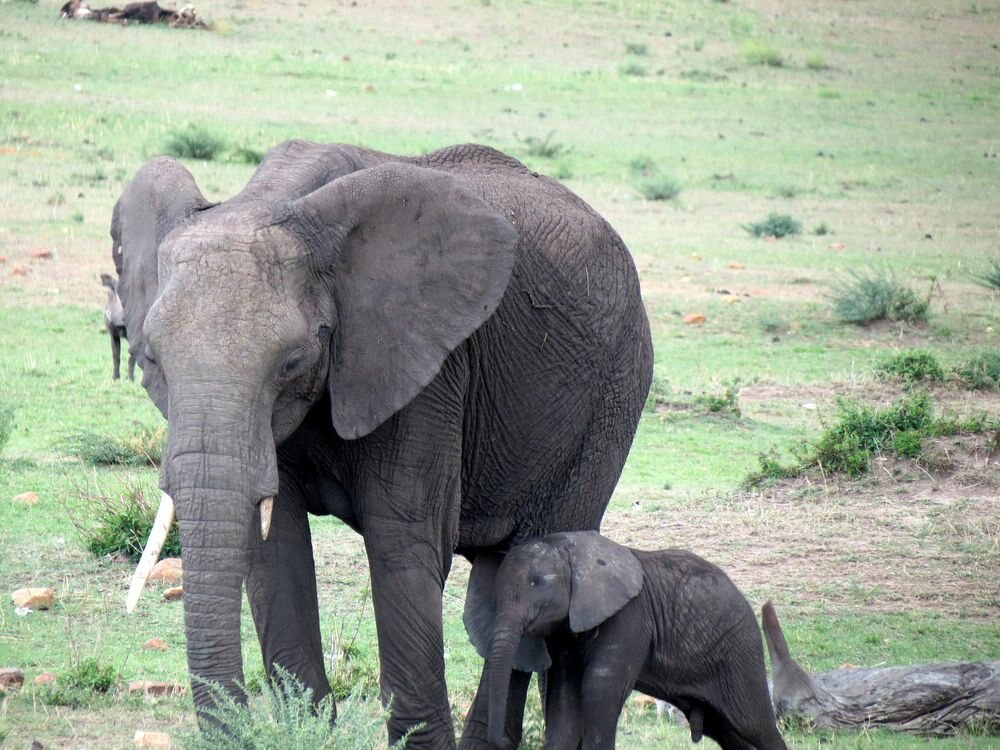 Click to See Next Image