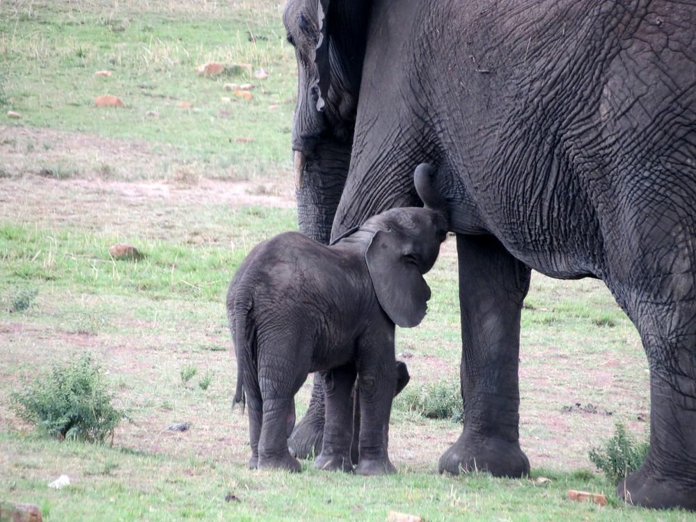 Click to See Next Image