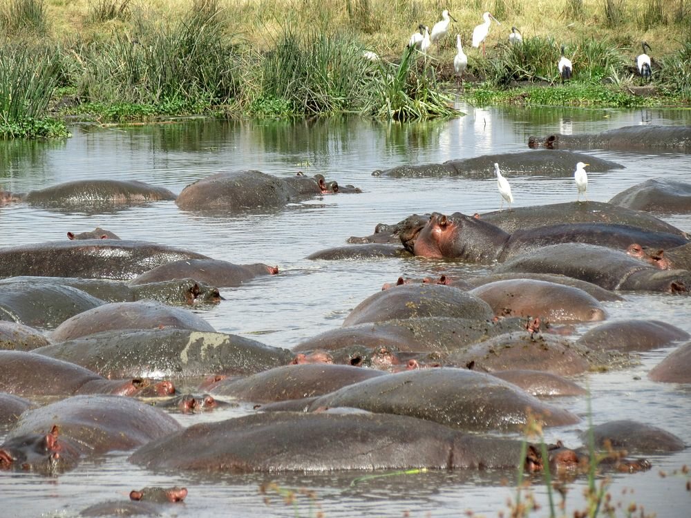 Click to See Next Image