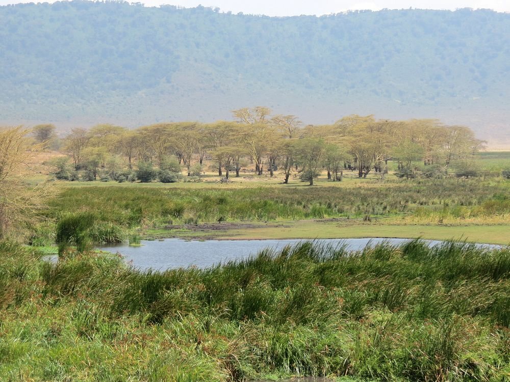 Click to See Next Image