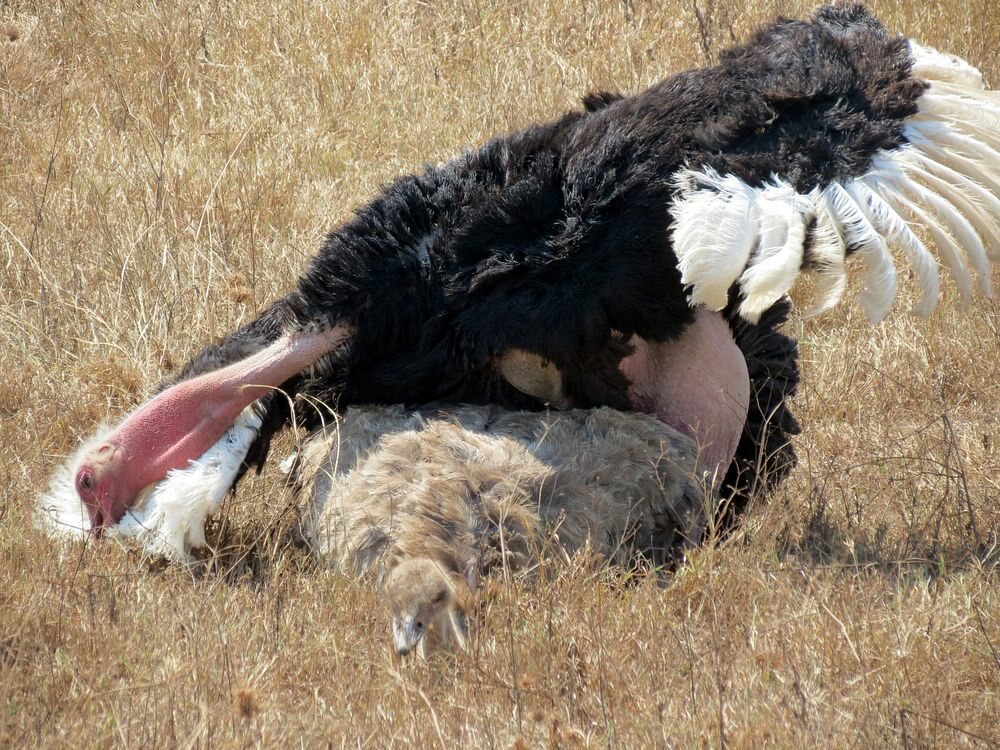 Click to See Next Image