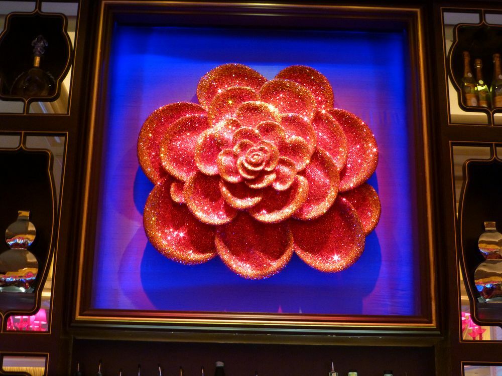 Click to See Next Image