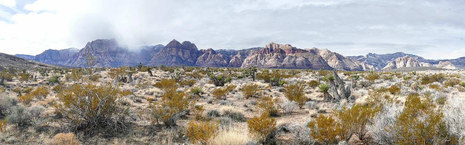 Click to See Next Image