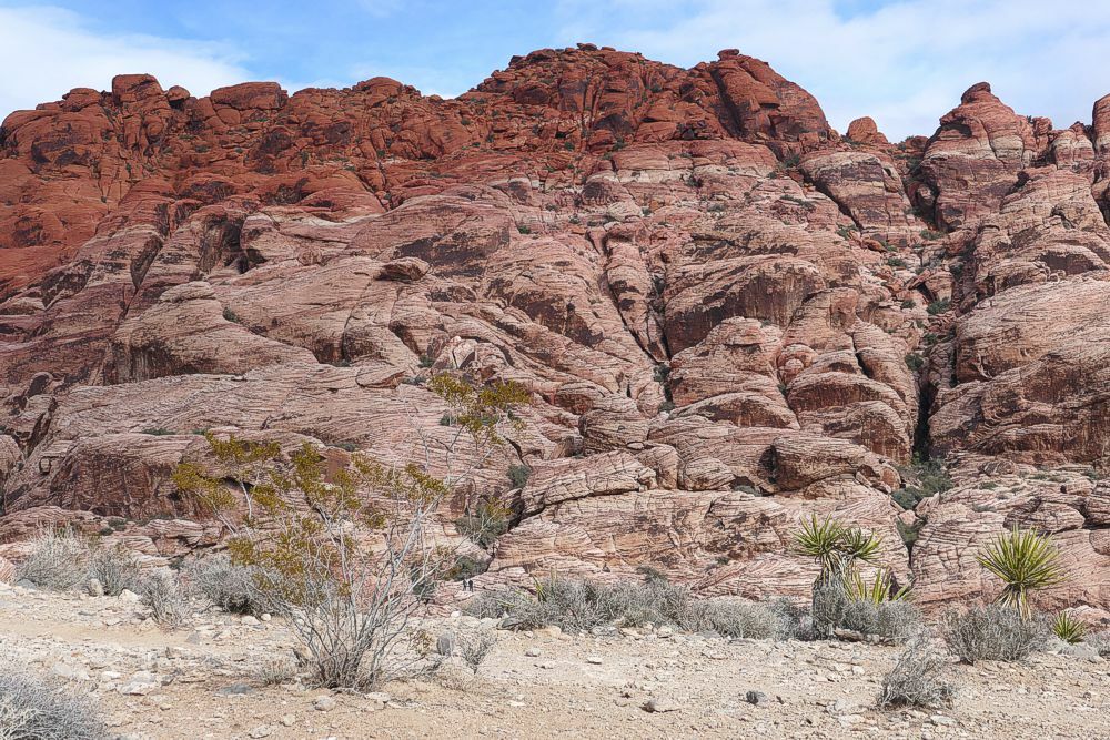 Click to See Next Image