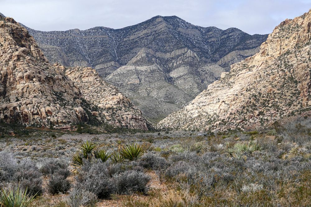 Click to See Next Image