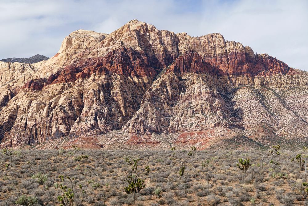 Click to See Next Image