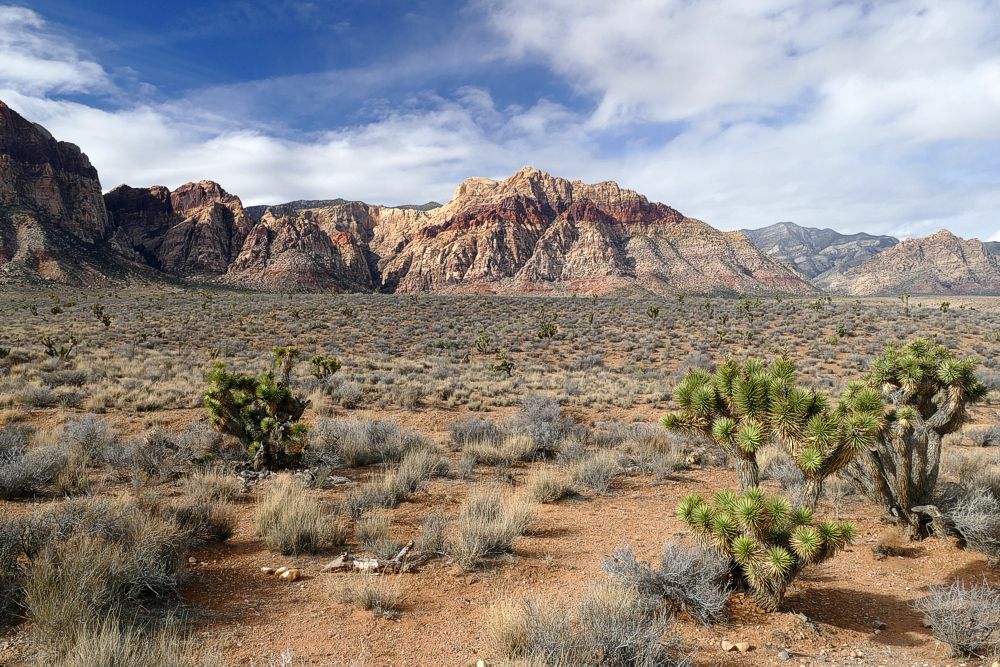 Click to See Next Image