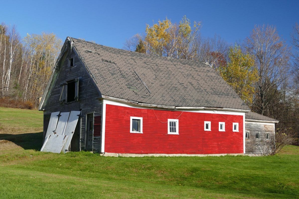 Click to See Next Image