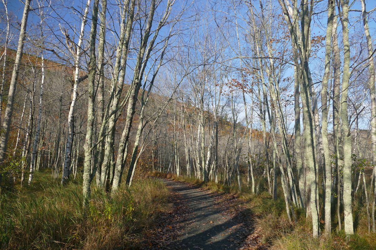 Click to See Next Image