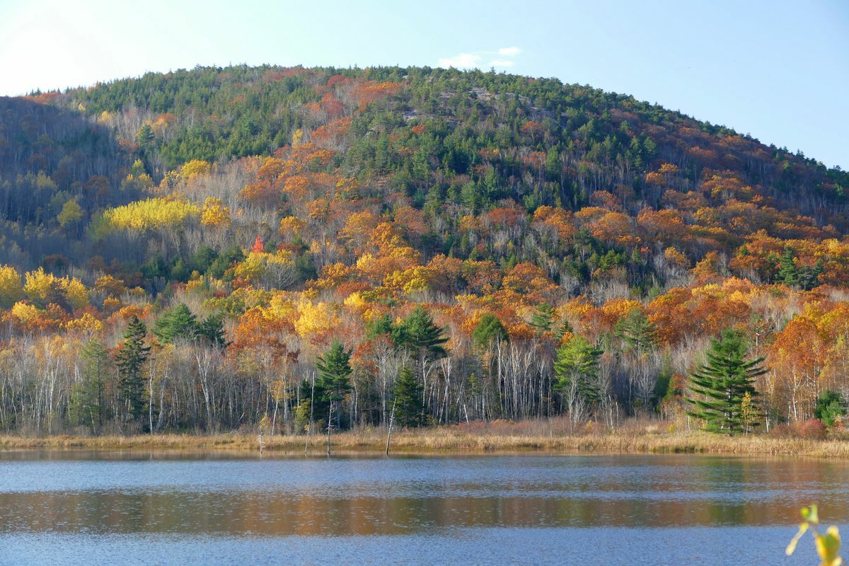 Click to See Next Image