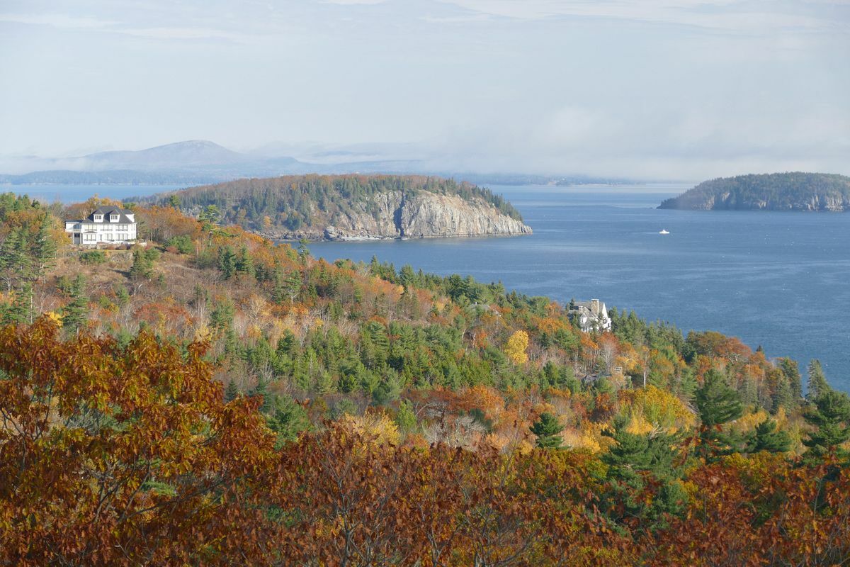 Click to See Next Image