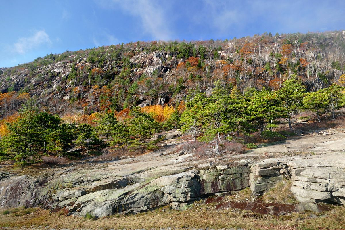 Click to See Next Image