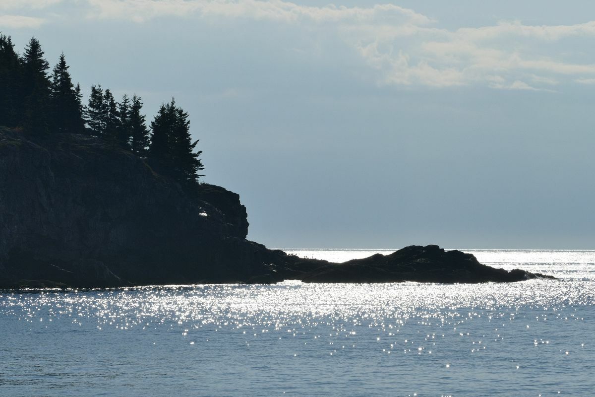 Click to See Next Image