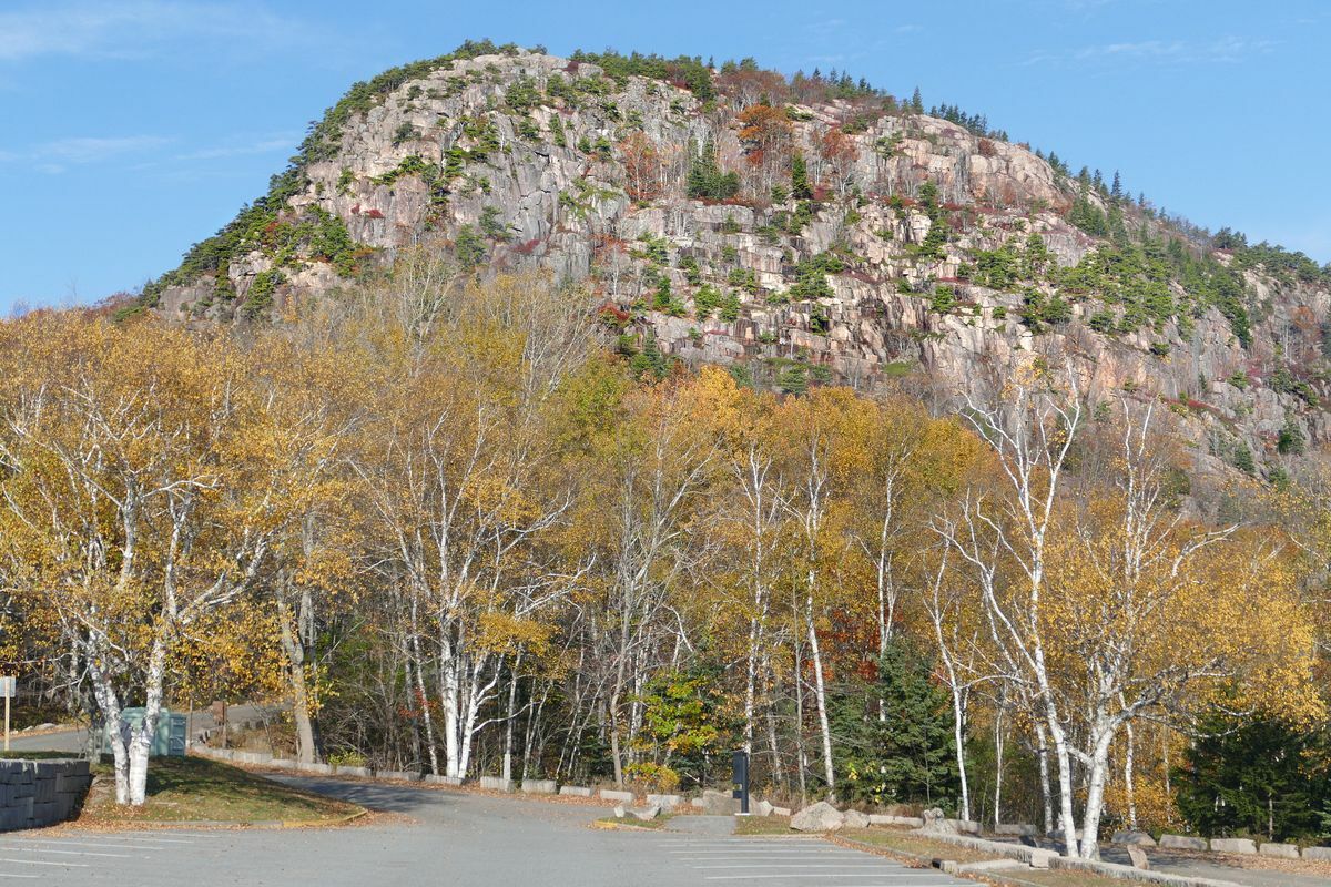 Click to See Next Image