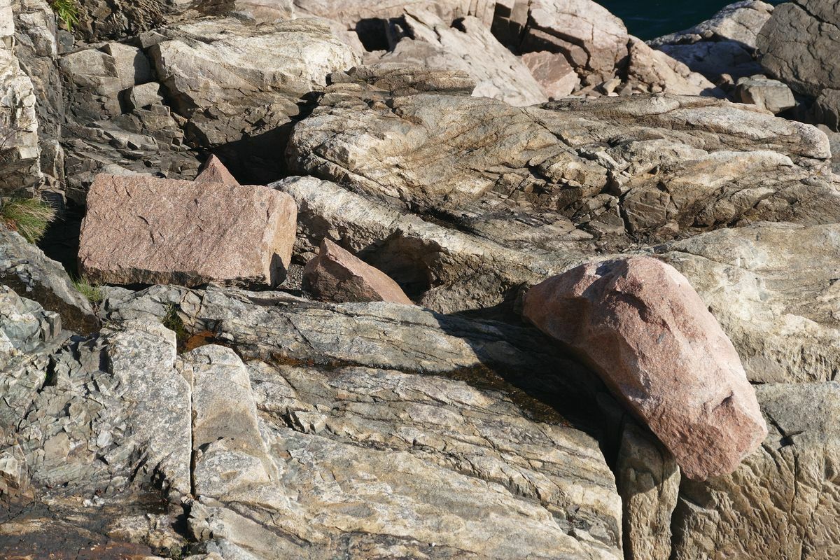 Click to See Next Image