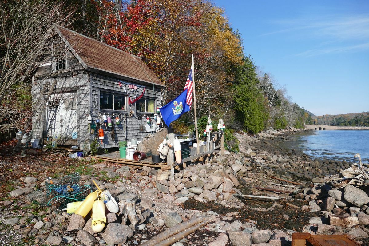 Click to See Next Image