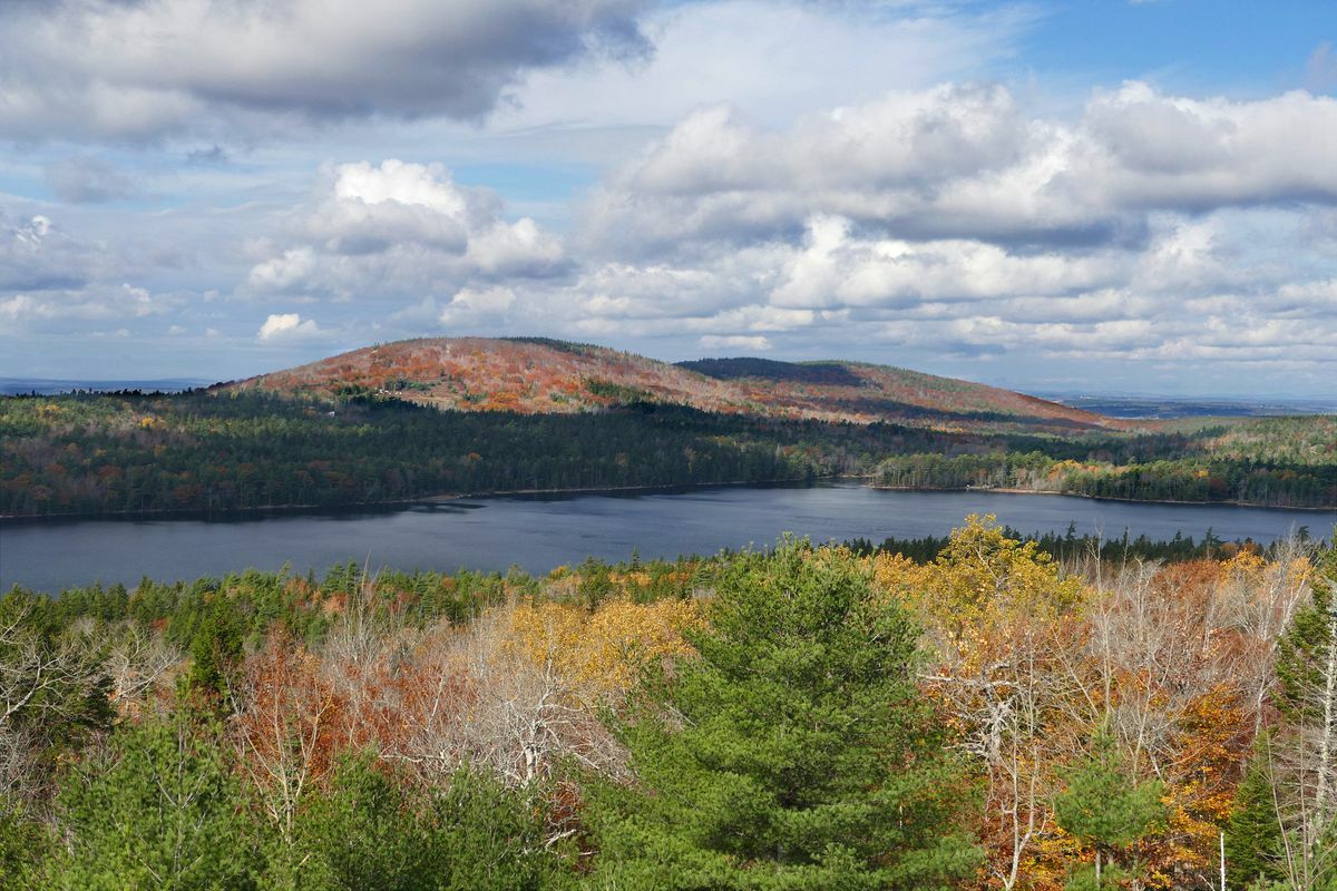 Click to See Next Image