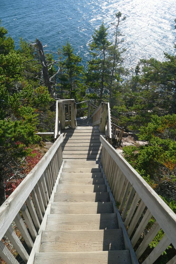 Click to See Next Image