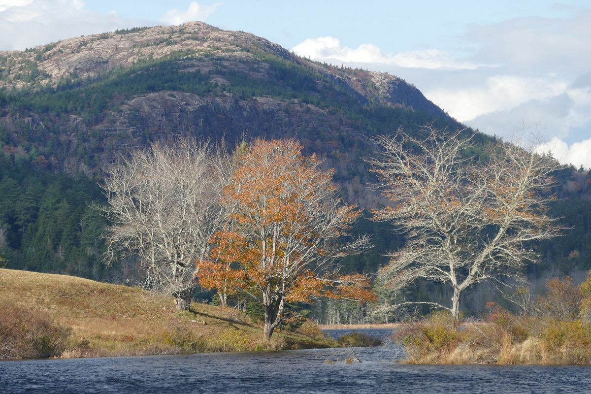 Click to See Next Image