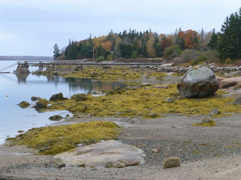 Click to See Next Image