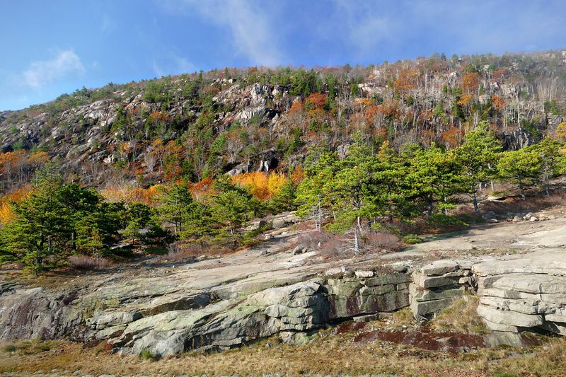 Click to See Next Image