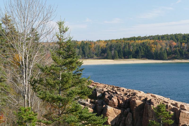 Click to See Next Image