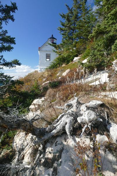 Click to See Next Image