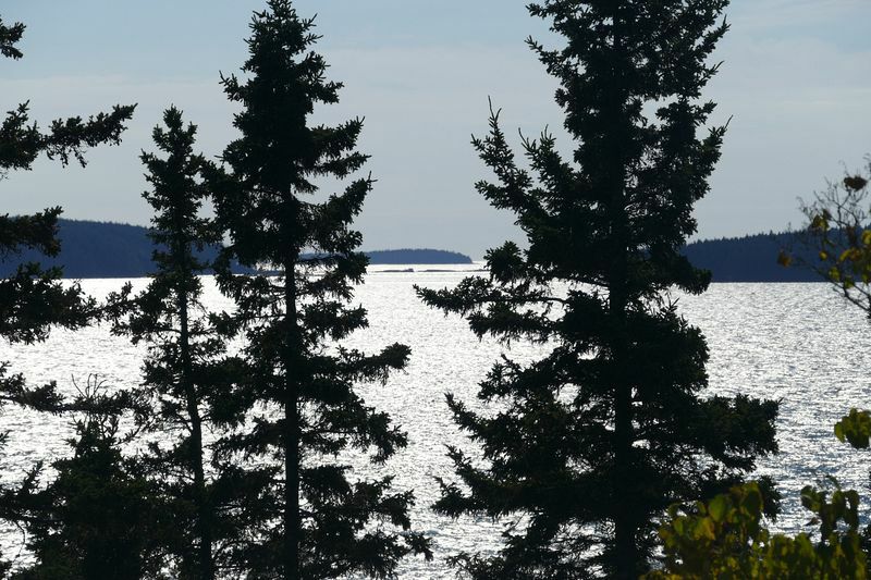 Click to See Next Image