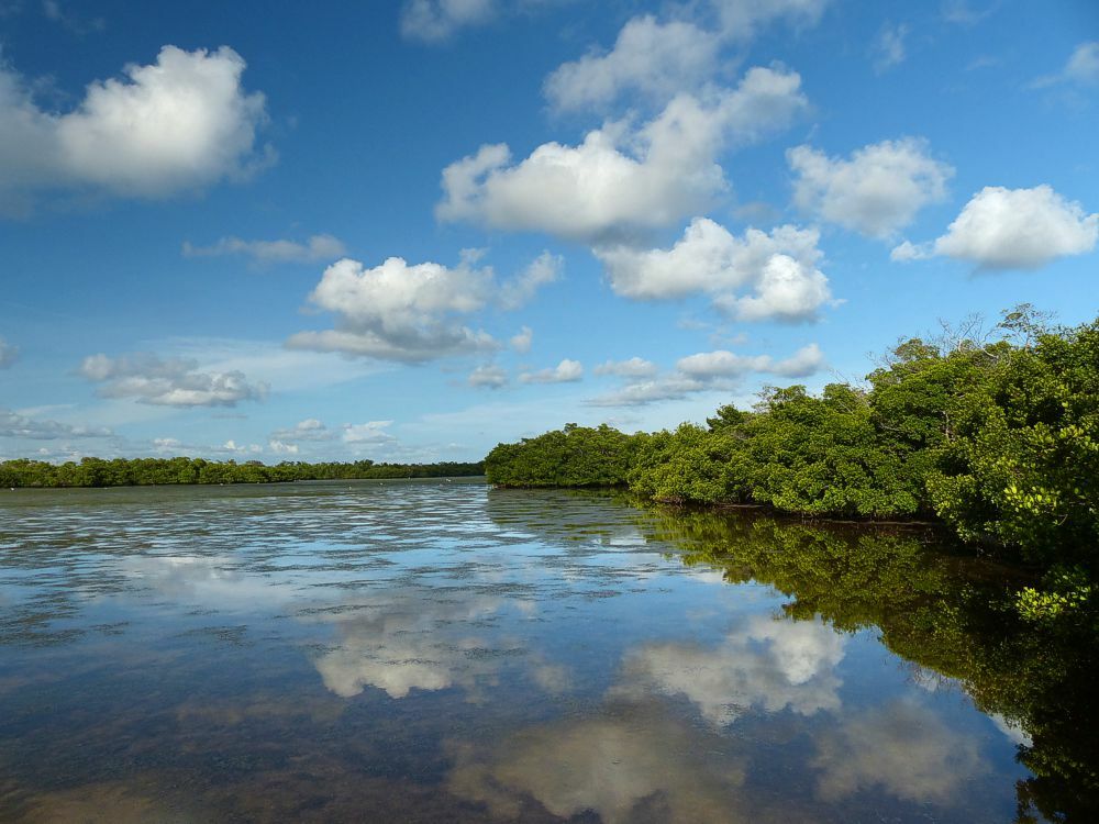 Click to See Next Image