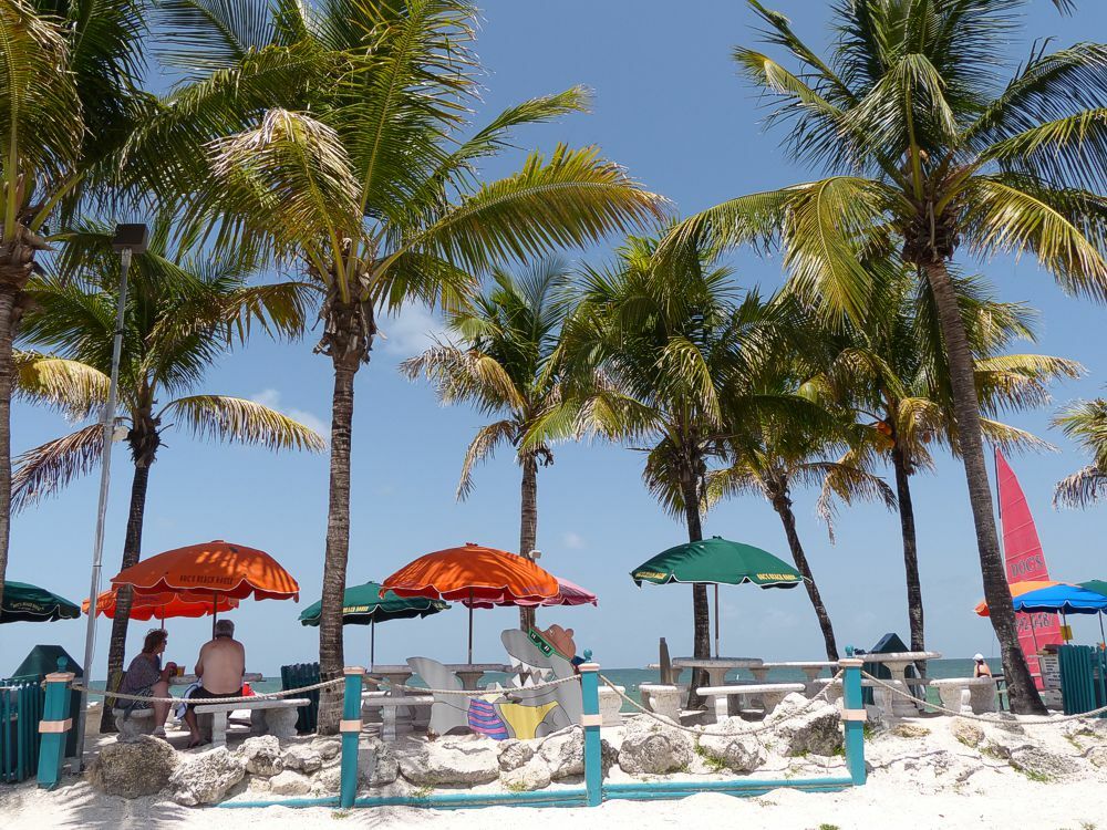 Click to See Next Image