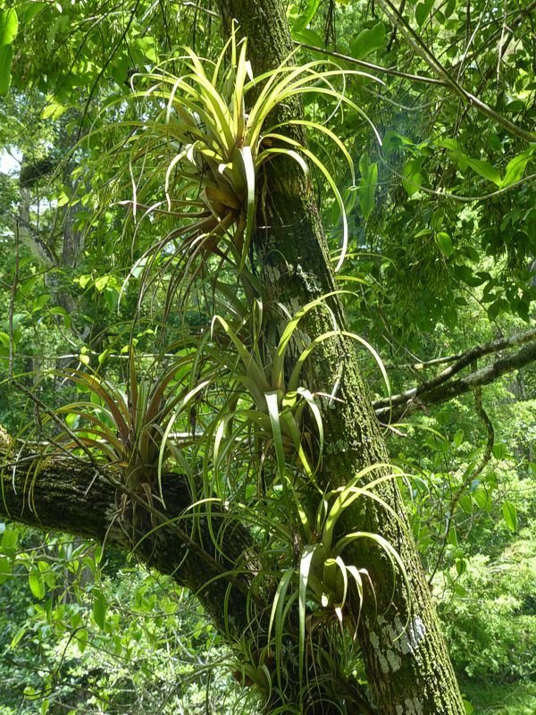 Click to See Next Image