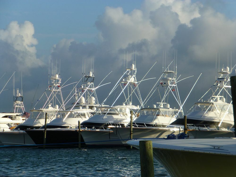 Click to See Next Image