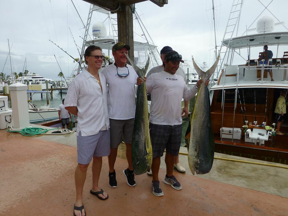 Click to See Next Image