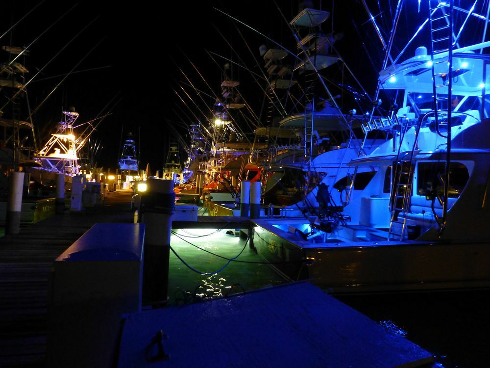 Click to See Next Image