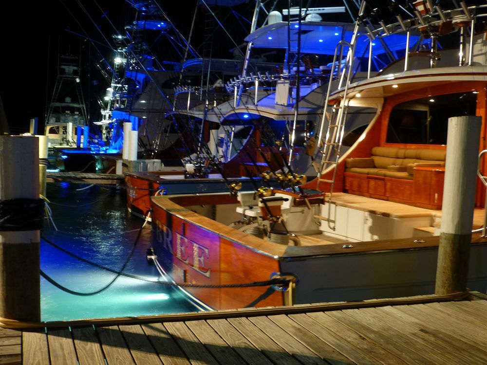 Click to See Next Image