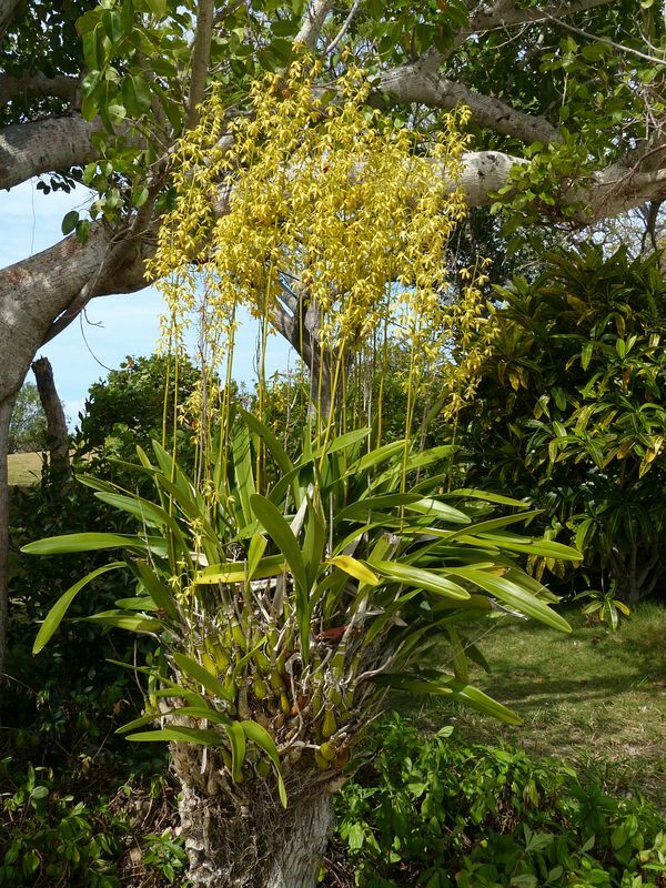 Click to See Next Image