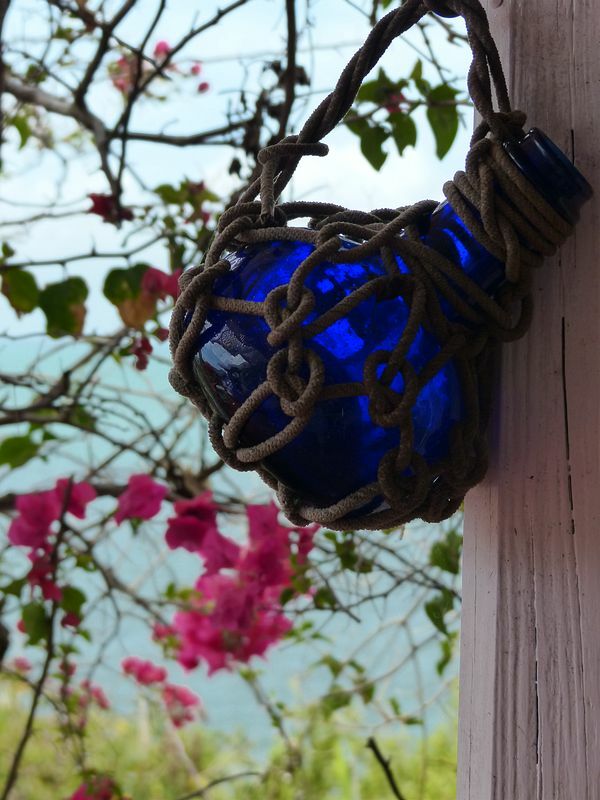 Click to See Next Image