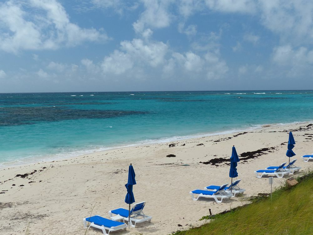 Click to See Next Image