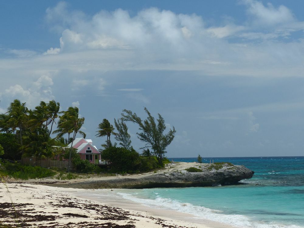 Click to See Next Image