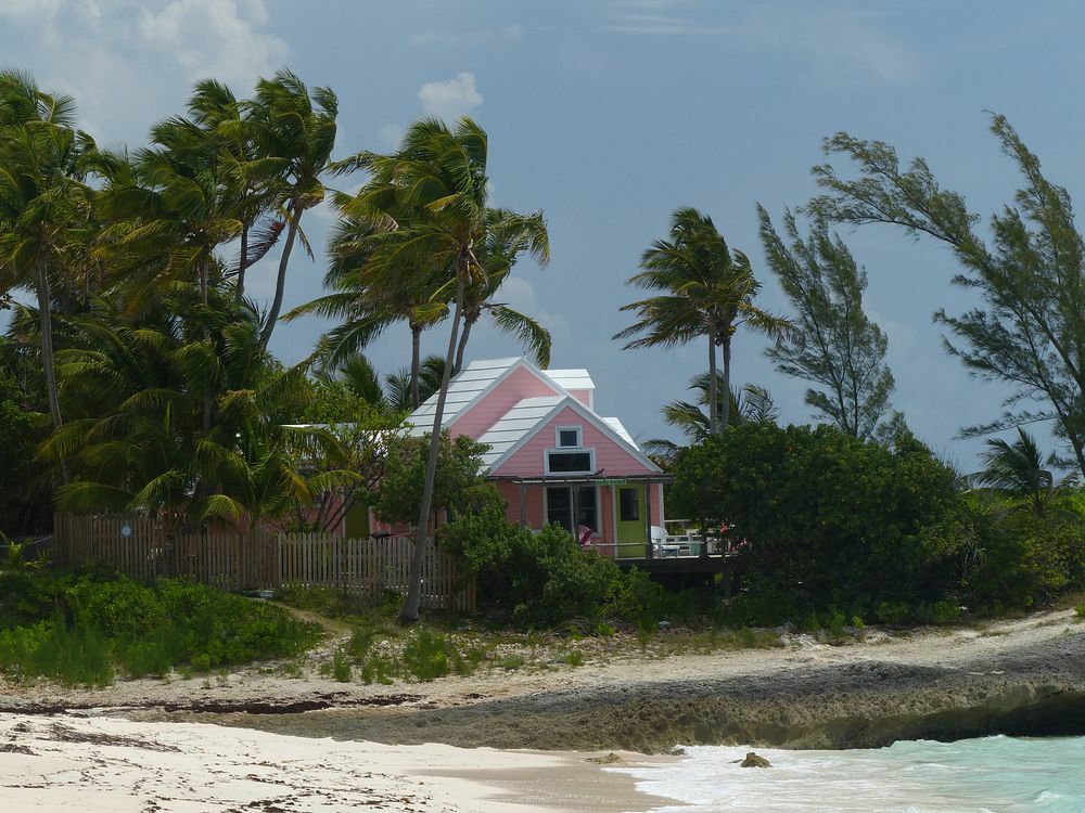 Click to See Next Image