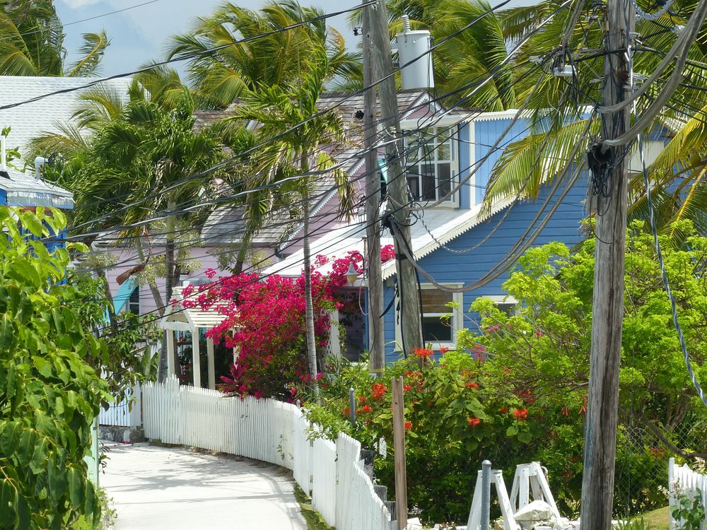 Click to See Next Image