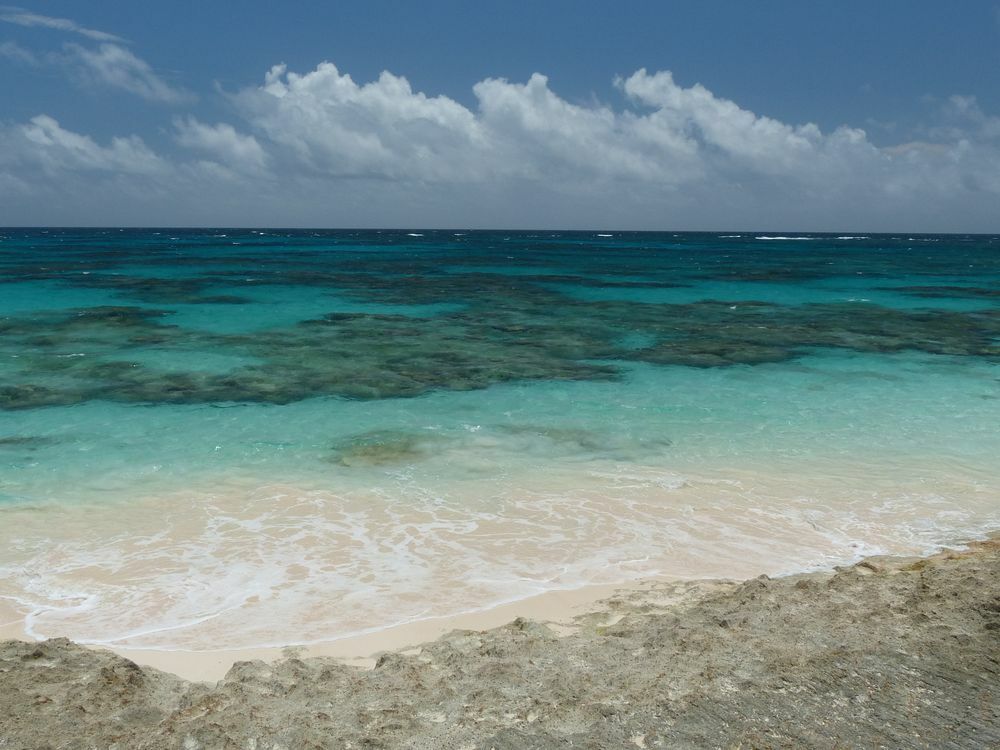 Click to See Next Image