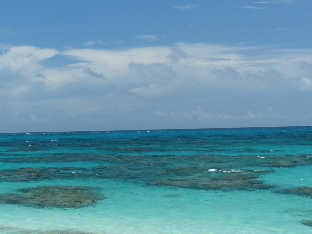 Click to See Next Image