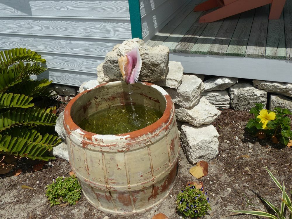 Click to See Next Image