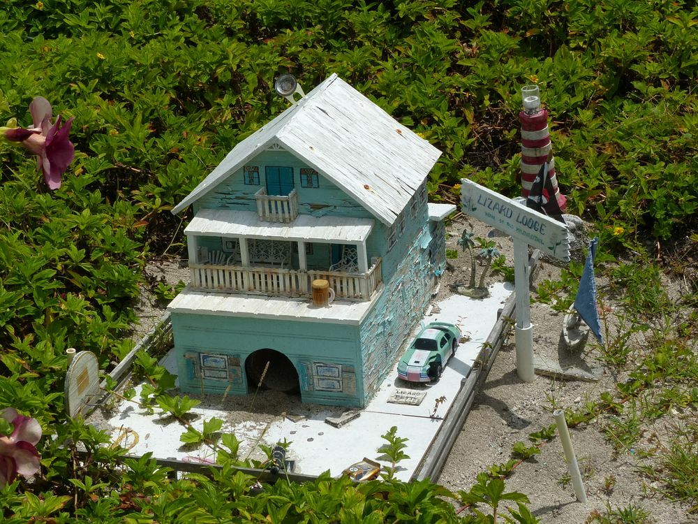 Click to See Next Image